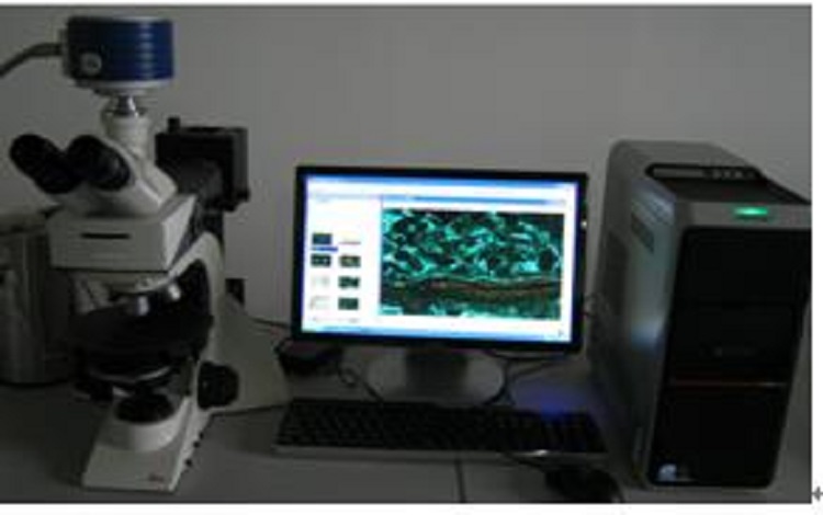 DLTB-600型地质流体包裹体冷热台测试装置
